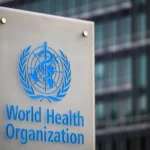 Zelensky Signals Diplomatic Shift Ahead of Trilateral Talks in the UAE