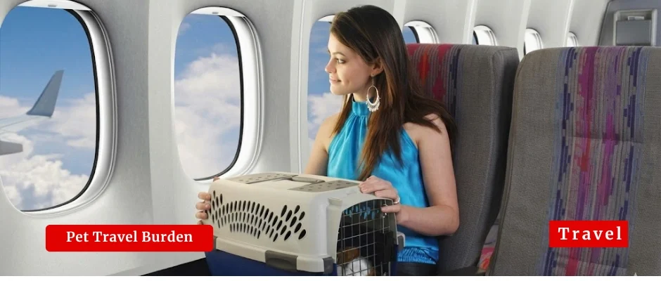 New EU Pet Travel Rules Push Costs Higher for UK Travelers